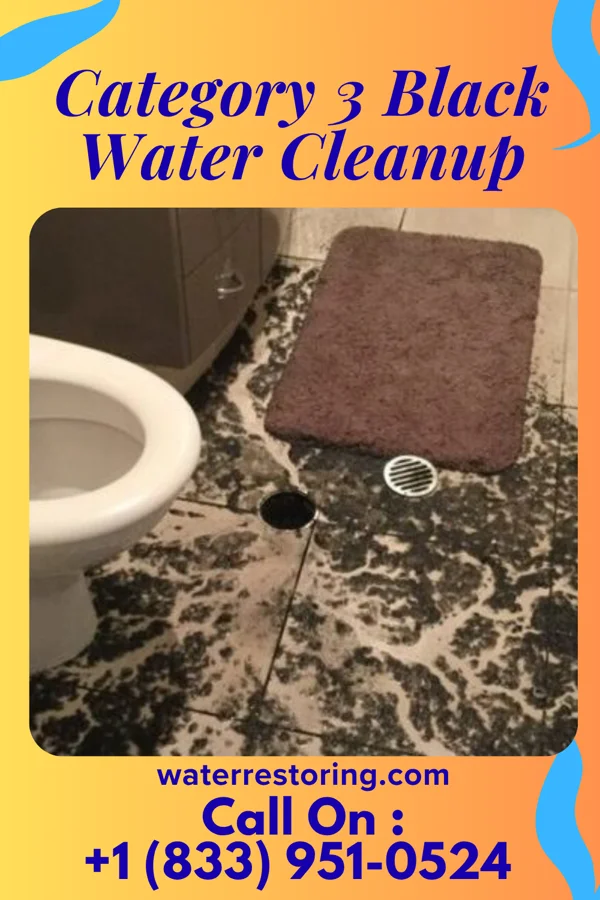 Category 3 Black Water Cleanup in Monroe, LA