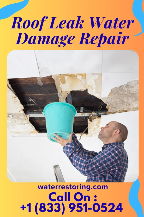 Roof Leak Water Damage Repair in Monroe, LA